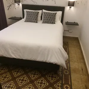 Zocalo Increible México